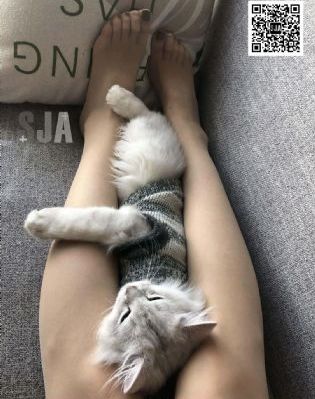 青面修罗电影高清在线观看_720全集免费观看
